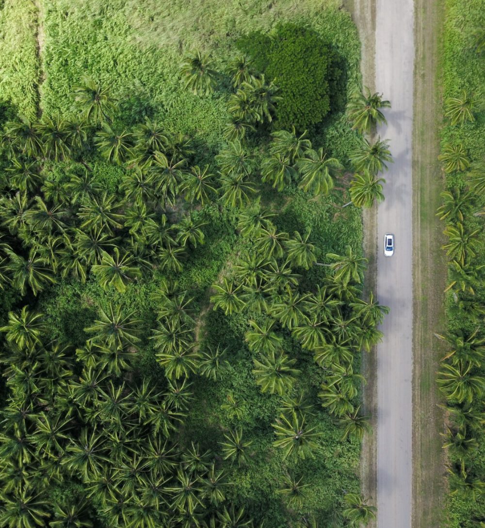 Environmental, Social and Governance