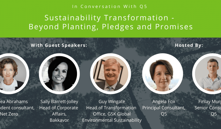 Sustainability Transformation – Beyond planting, pledges and promises