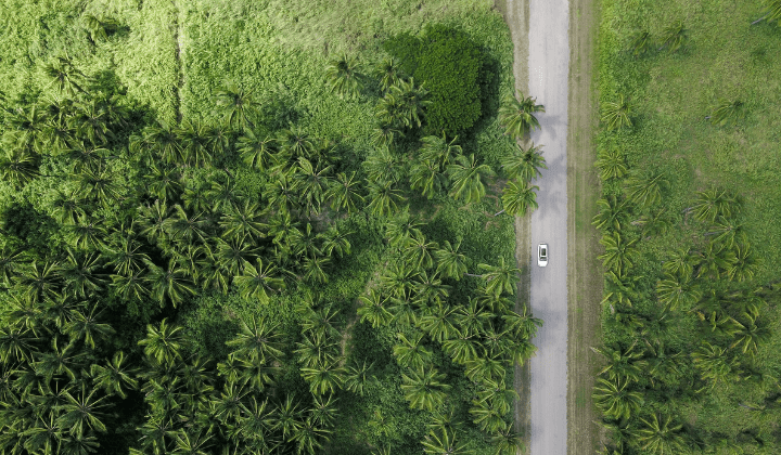 Sustainability action through PEARL