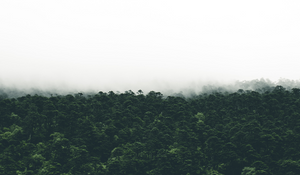 Some Reflections On COP