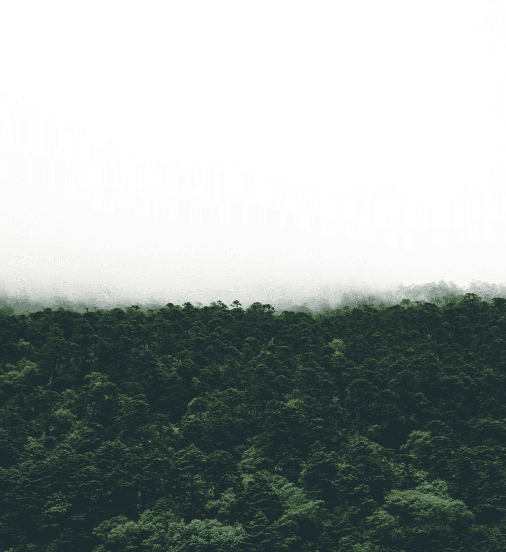 Some Reflections On COP