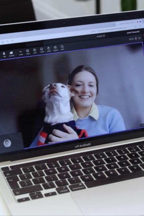 The dog is my homework​